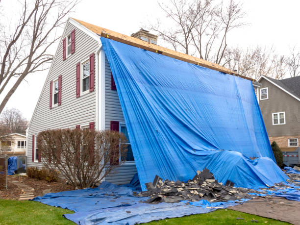 Best Brick Veneer Siding  in Jacksonville, TX