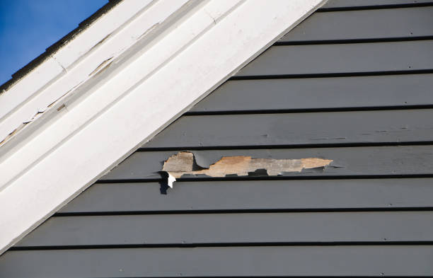 Best Residential Vinyl Siding Installation  in Jacksonville, TX